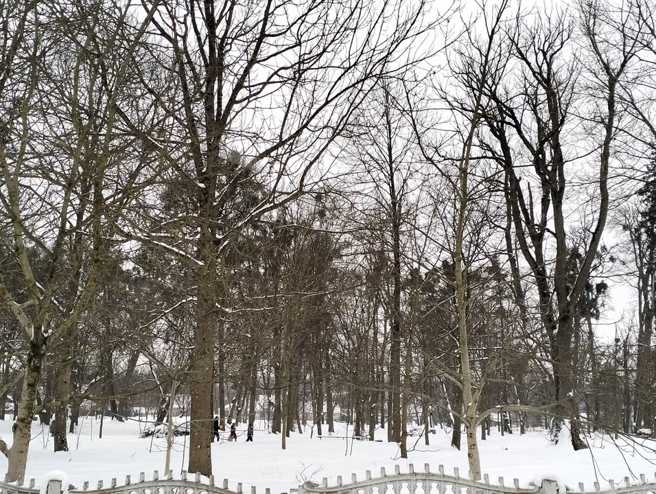 Краєзнавство — 15.02.2026